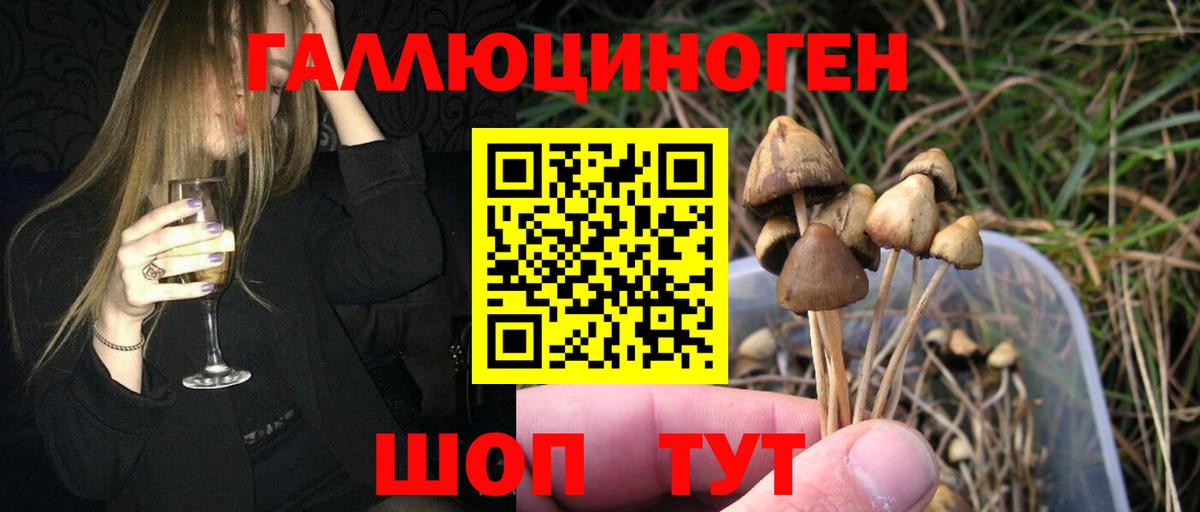 Псилоцибиновые грибы Psilocybine cubensis  Галлюциногенные грибы Magic Shrooms  Вход с VPN  Чистополь 