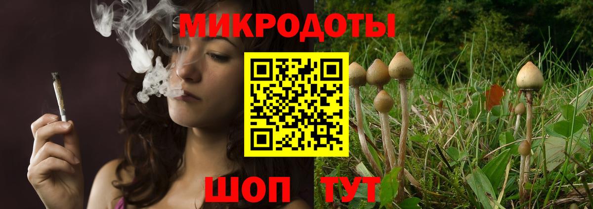 Псилоцибиновые грибы мухоморы Чистополь